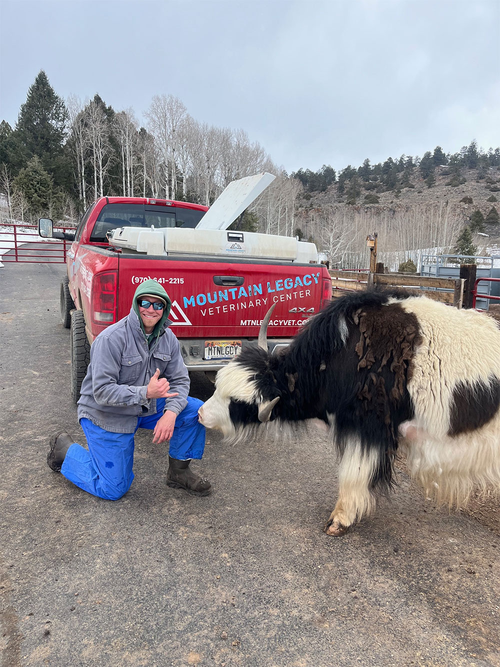 Cases & Pictures Vet in Gunnison Mountain Legacy Veterinary Center